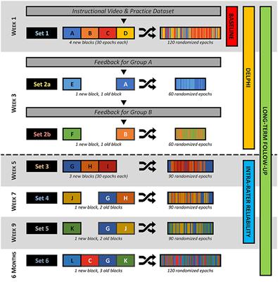 Effect of Training on Visual Identification of High Frequency Oscillations—A Delphi-Style Intervention